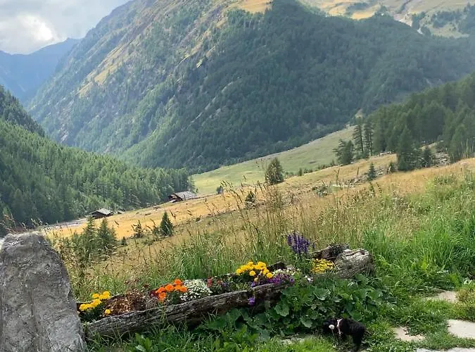 شقة Darling ميرانو